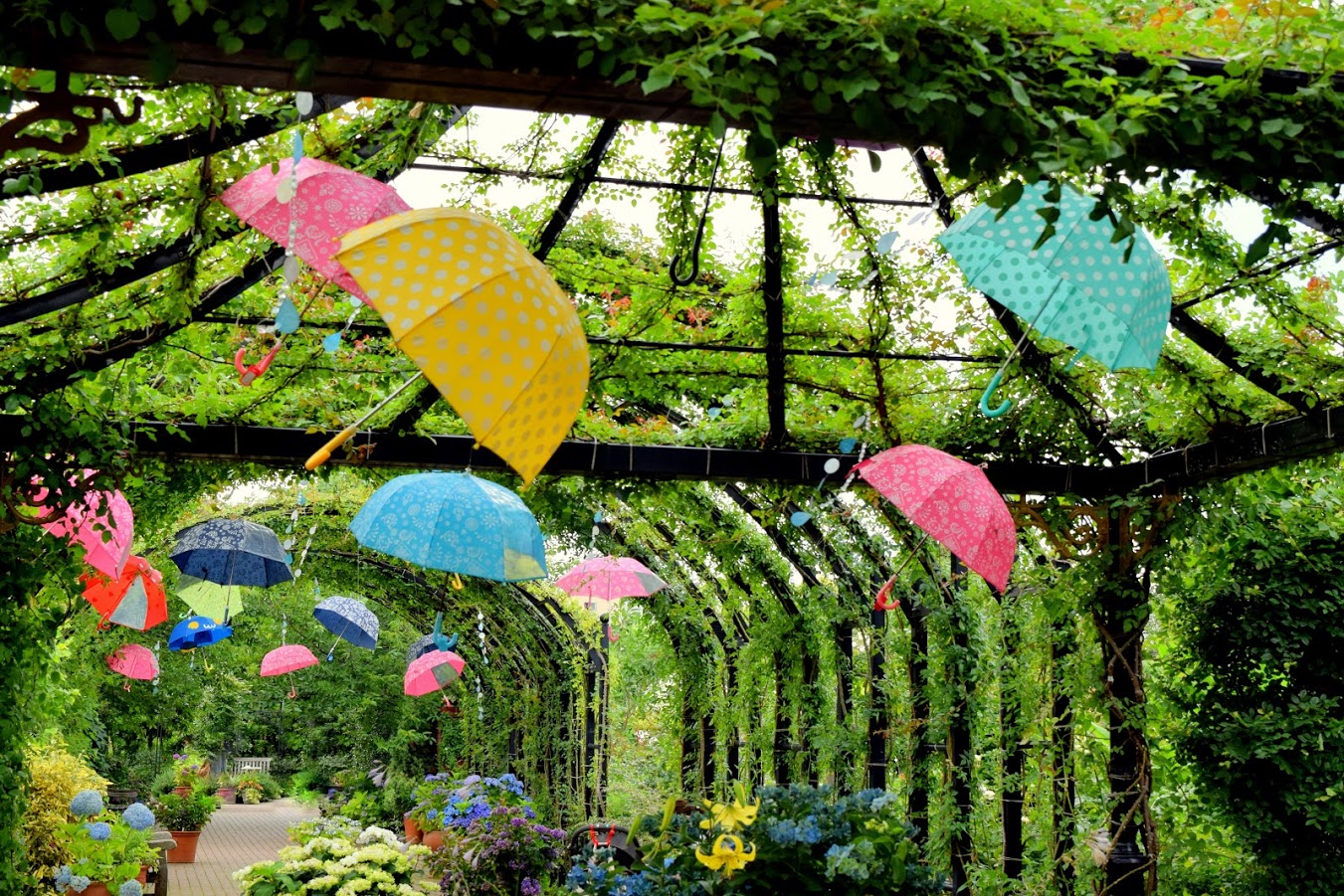 日本情緒たっぷりの 梅雨 を愉しもう 有給インターンならインターンバイト